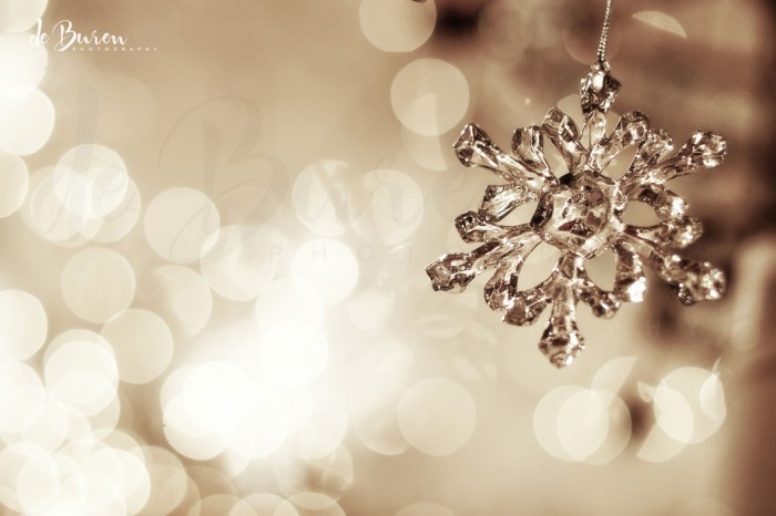 de_Buren_Photography-128