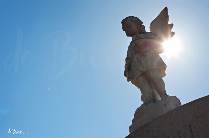 Jean_H_de_Buren-cemetery-3563