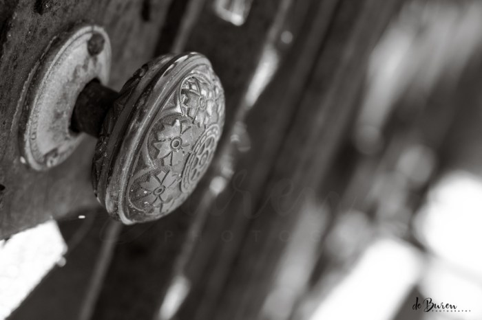 Jean_H_de_Buren_cemetery-3436