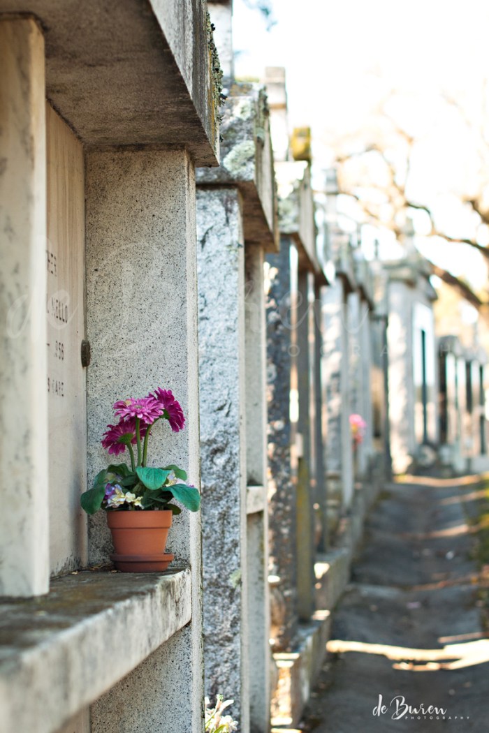 Jean_H_de_Buren_cemetery_3517