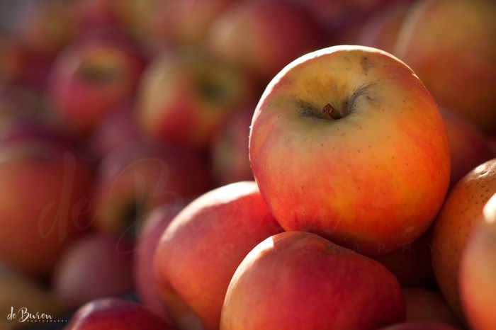 Jean_H_de_Buren_Market_4780