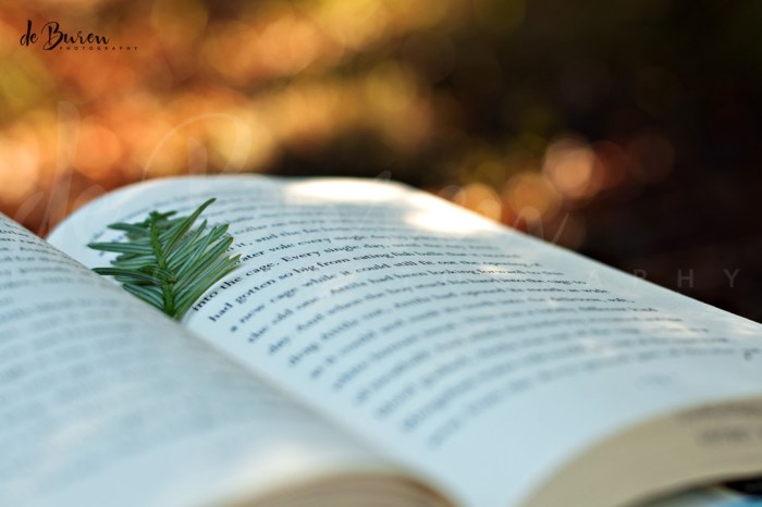 Jean_H_de_Buren_reading-0952