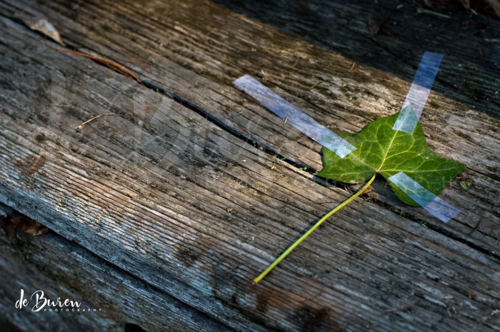 Jean_H_de_Buren_secret_agent-7486