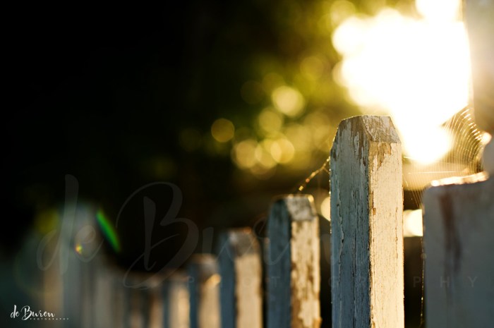 Jean_H_de_Buren_morning_walk_5812a