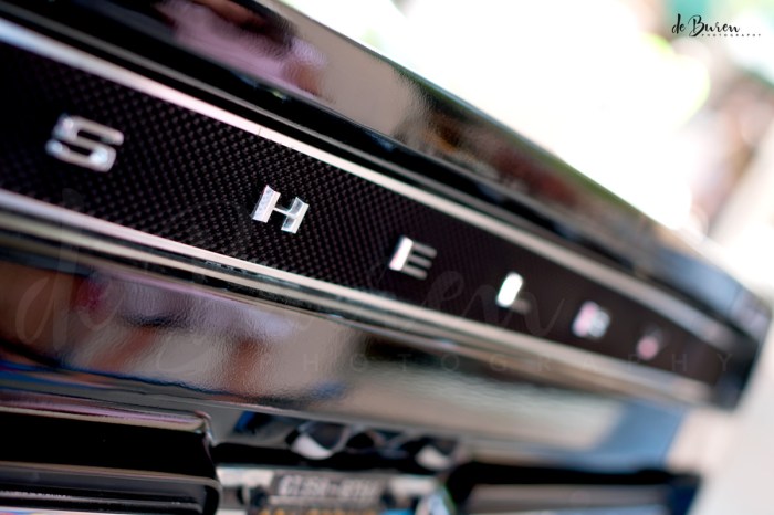 Jean_H_de_Buren_Shelby_0957