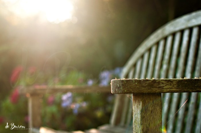 Jean_H_de_Buren_morning_bench-7073-a