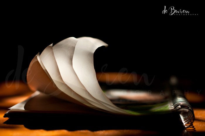 Jean_H_de_Buren_notebook-8441