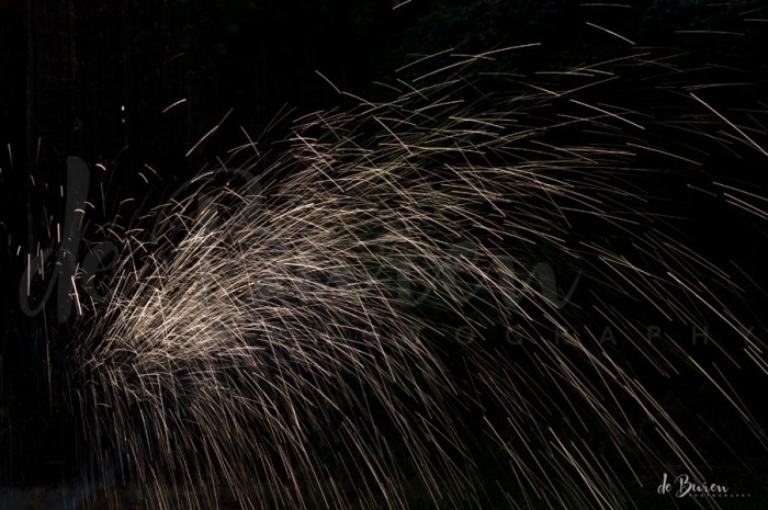 Jean_H_de_Buren_sprinklers_3287