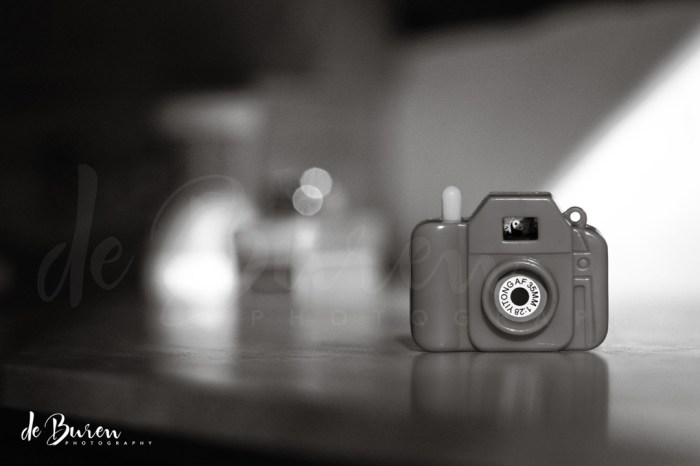 Jean_H_de_Buren_toys-3325-BW