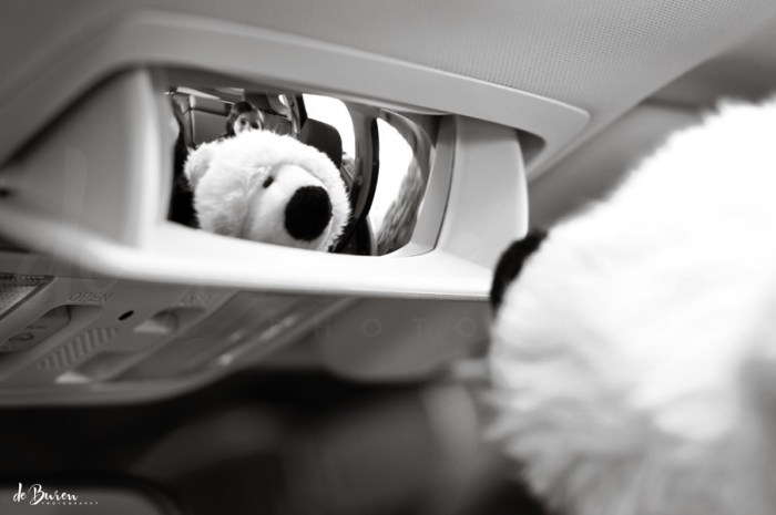 Jean_H_de_Buren_new_car_7886-BW