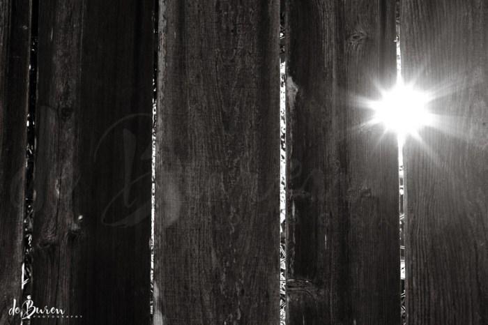 Jean_H_de_Buren_sunrise_fence_7725-BW