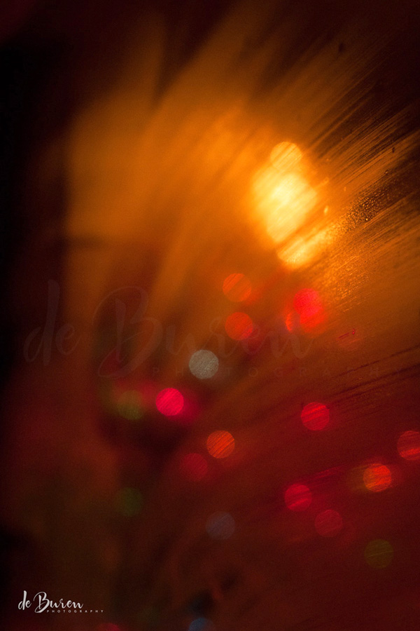 Jean_H_de_Buren_Christmas_Lights_7911