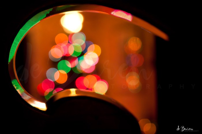 Jean_H_de_Buren_Christmas_Tree_lights_5218